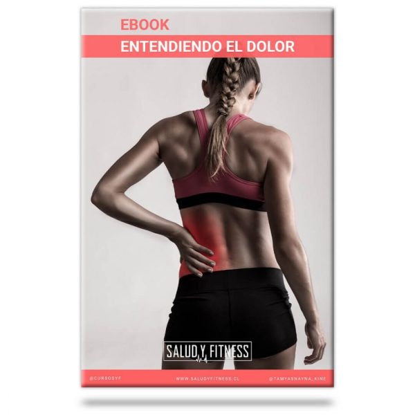 Ebook Entendiendo el dolor