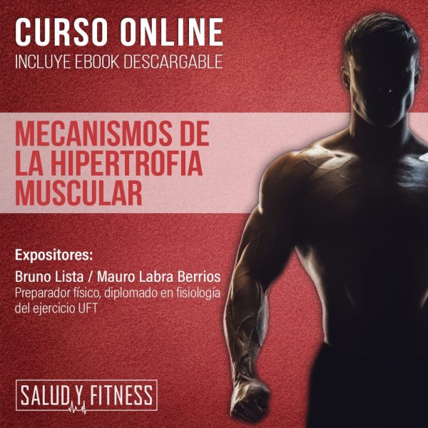 Curso Online - Mecanismos de la hipertrofia muscular