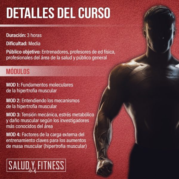 Curso Online - Mecanismos de la hipertrofia muscular - Imagen 2