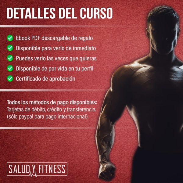 Curso Online - Mecanismos de la hipertrofia muscular - Imagen 3