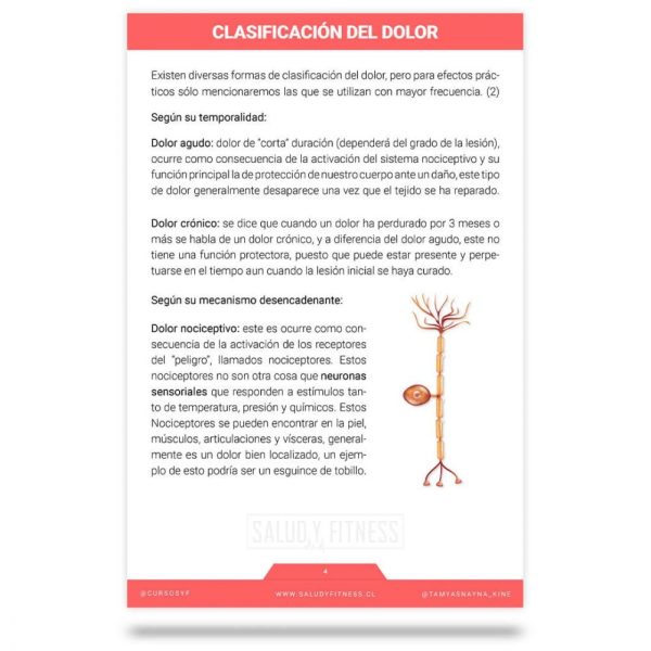 Ebook Entendiendo el dolor - Imagen 2