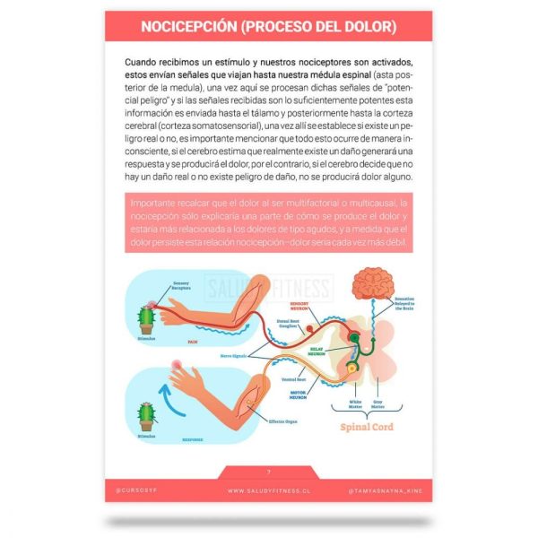 Ebook Entendiendo el dolor - Imagen 3