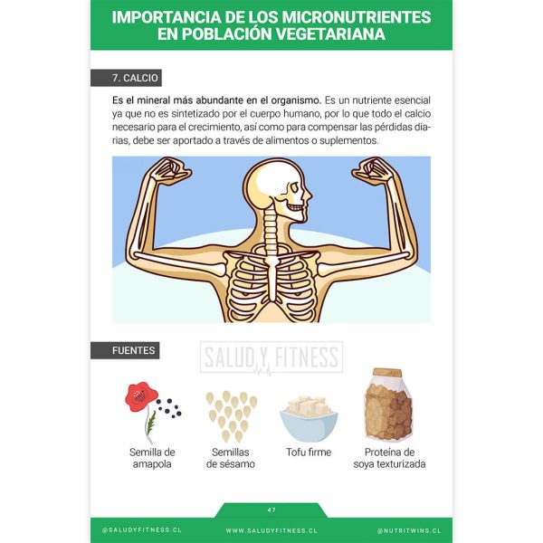 Ebook PDF - Comenzando una Alimentación Vegetariana - Imagen 4