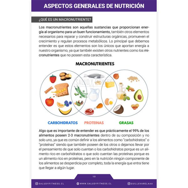Libro Digital - Fundamentos teóricos de Nutrición para Aumentos de Masa Muscular - Imagen 2