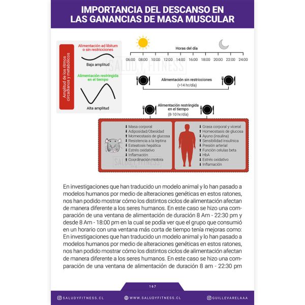 Libro Digital - Fundamentos teóricos de Nutrición para Aumentos de Masa Muscular - Imagen 4