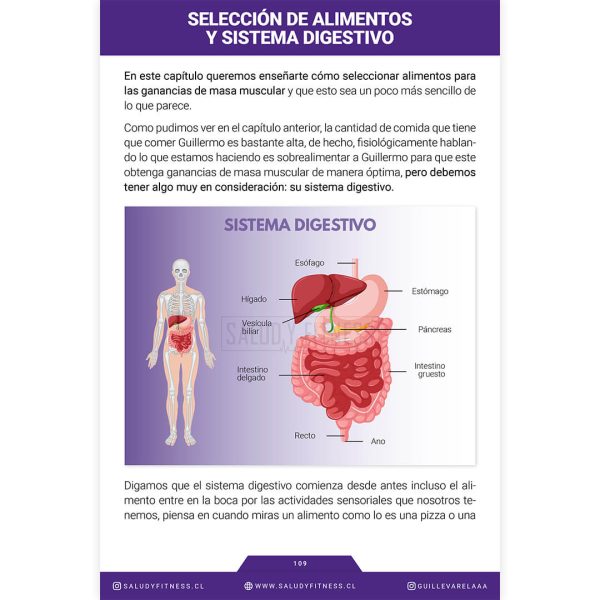 Libro Digital - Fundamentos teóricos de Nutrición para Aumentos de Masa Muscular - Imagen 8